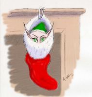 Elf Hiding in a Christmas Stocking